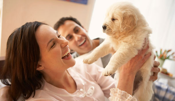 THE FIRST 5 THINGS THAT NEW PUPPY PARENTS SHOULD KNOW 
